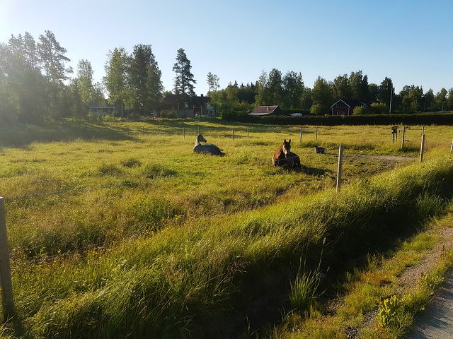 ...vidare till Åvestbo...
