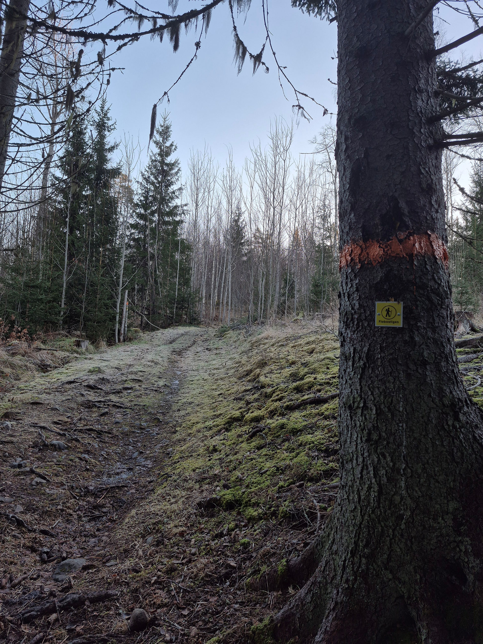 Bruksleden/Flobostigen fjärde advent 2025