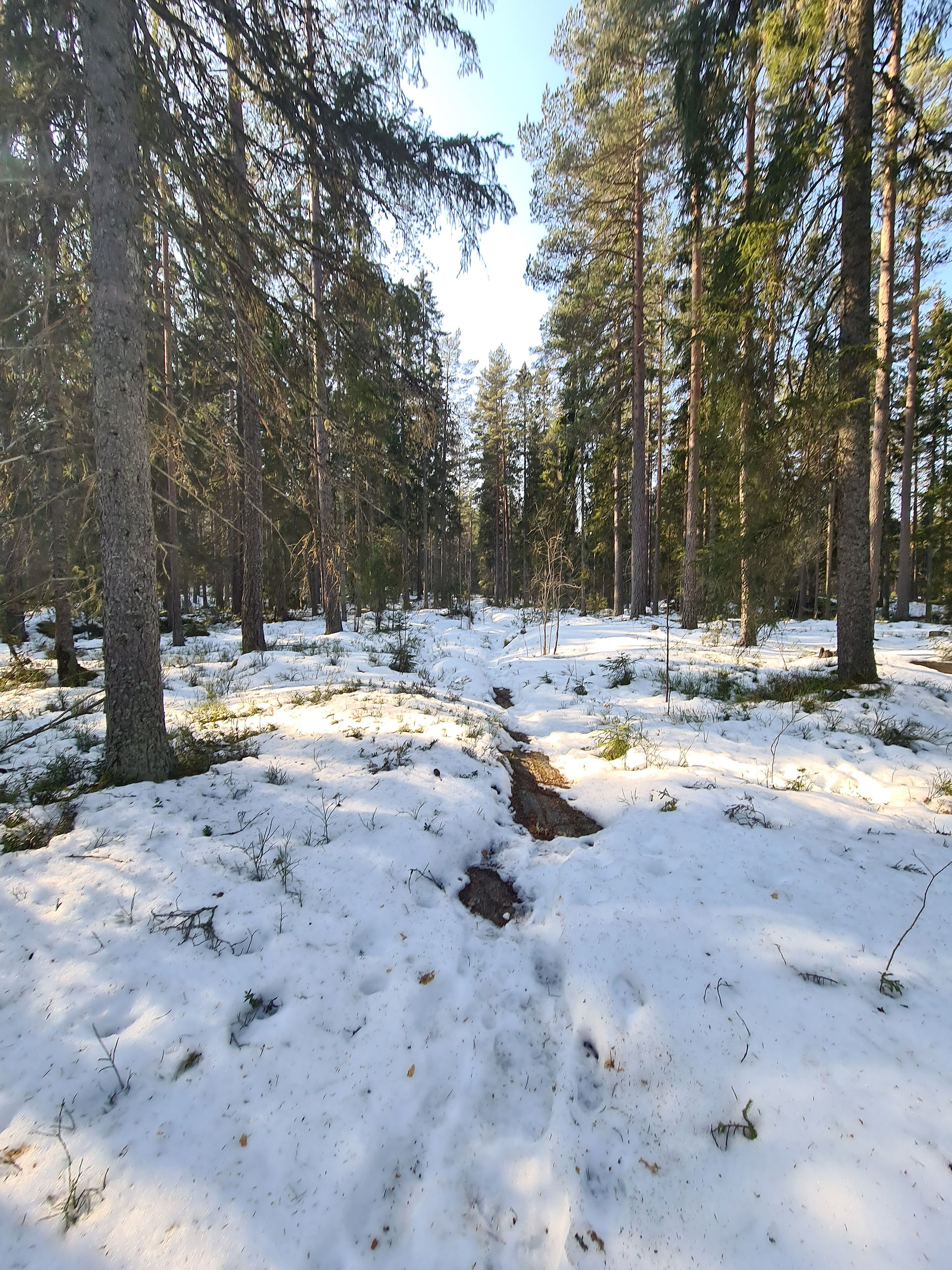 Blågul slinga Lapphyttan