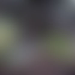 Detaljbild på nedre delen av den gigantiska kandelabergranen