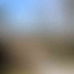 Skoterspår/avverkningsväg mellan Fagersta/Norberg