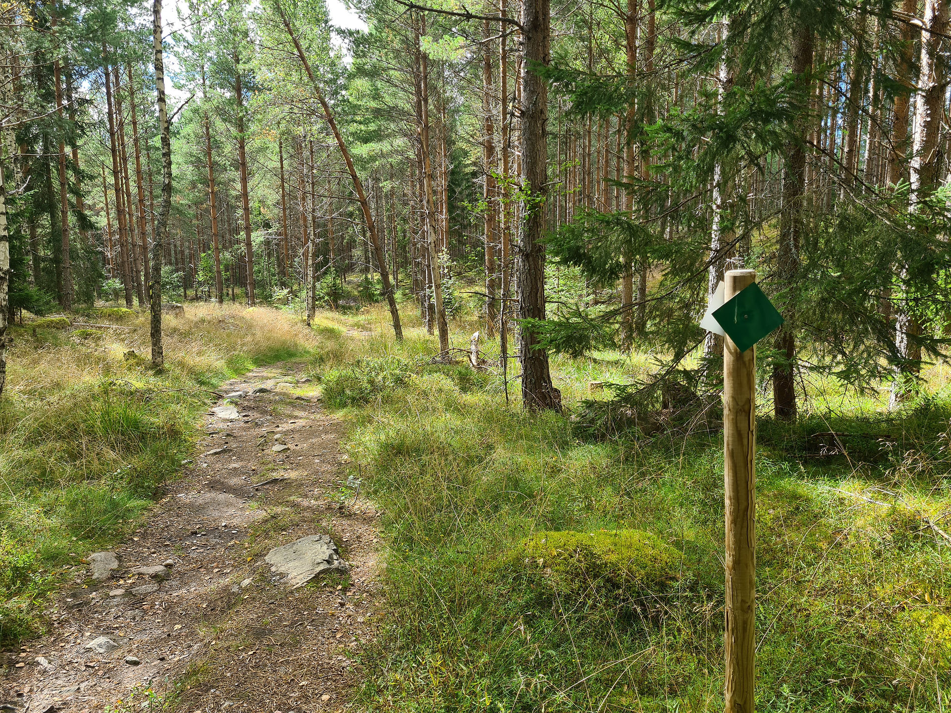 Grön slinga Ötjärn