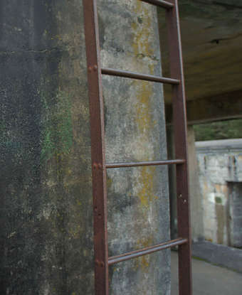 DSC07338.png