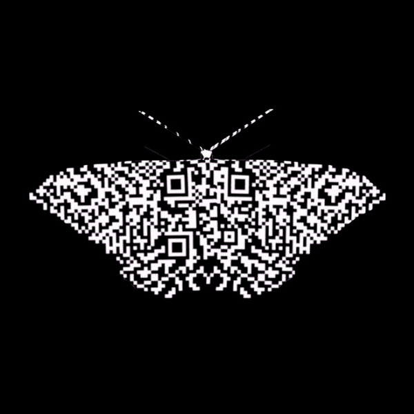 MothBlackNLB (2).gif