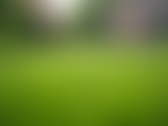 Expert Lawn Care Tips for a Thriving Landscape