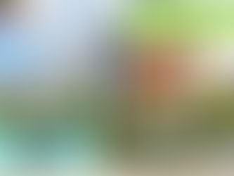 MAHSA International School 马来西亚国际学校访问协助(学校参观) No.11