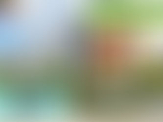 MAHSA International School 馬來西亞國際學校訪問協助(學校參觀)No.11