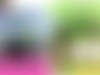 ASIA PACIFIC International School 馬來西亞國際學校訪問協助(學校參觀)No.20