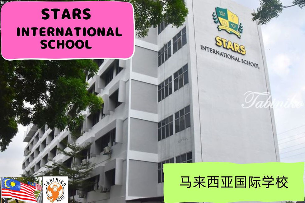 STARS International School