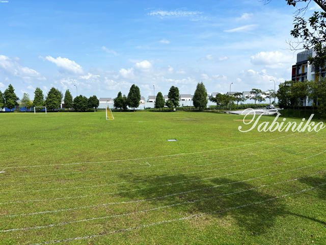 グラウンド