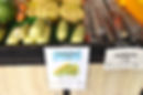 FRUIT HOUSE 11