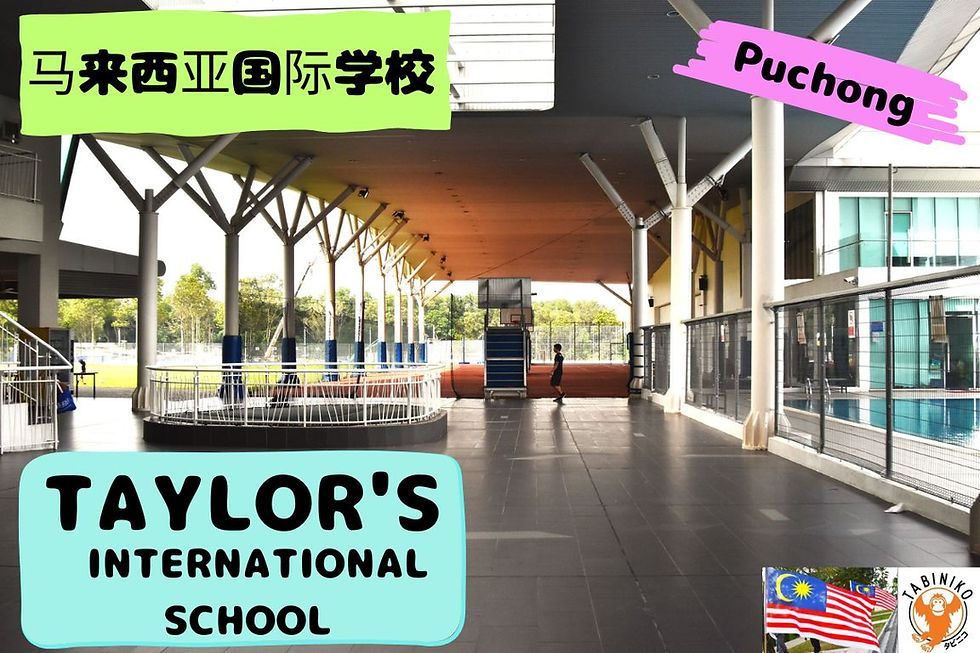 TAYLOR'S International School