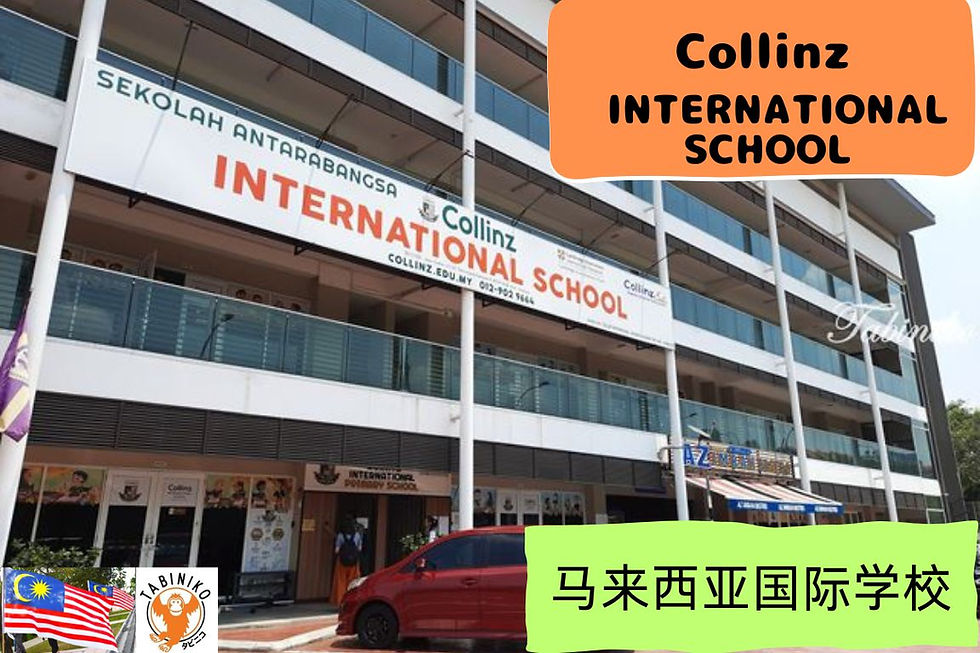 Collinz International School