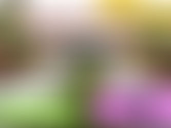 テンビー(TENBY)インターナショナルスクールSETIA ECO PARK マレーシアインターナショナルスクール見学No.17