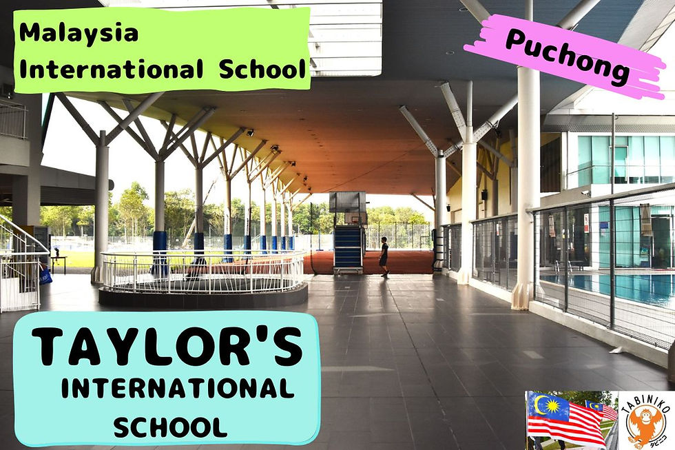 TAYLOR'S International School