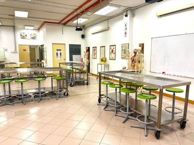 Segi University 解剖實驗室