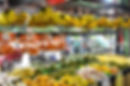 FRUIT HOUSE 18