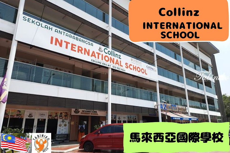 Collinz International School
