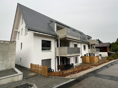MFH in Liebistorf.jpg