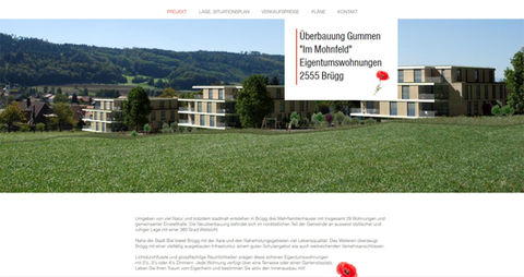 immobilien projektseite in brügg