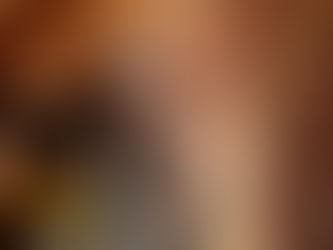 Sanierung nach Marderschaden