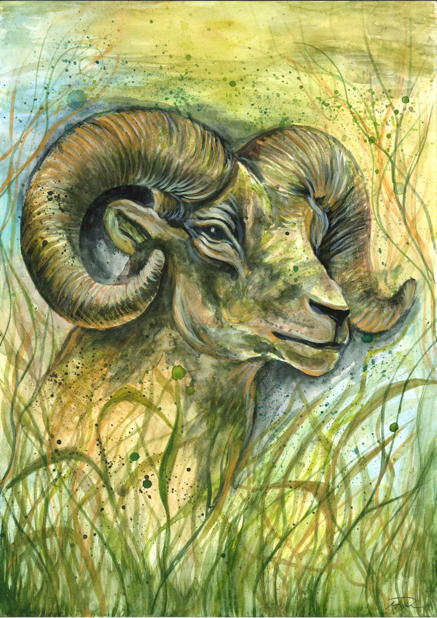 Baran - Aries (21.03-19.04)