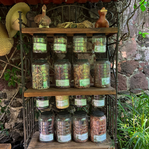 El Museo vivo de Malinalco