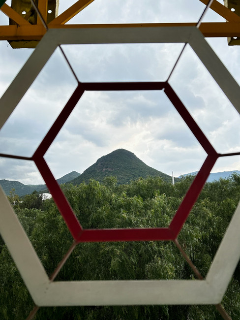 Galería de Arte del Genoma Mesoamericano