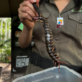 El Museo vivo de Malinalco