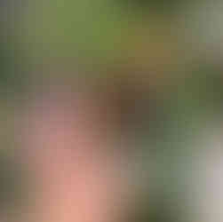 El Museo vivo de Malinalco