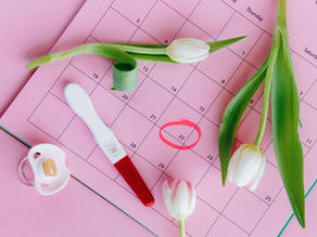 Ovulation tracking calendar
