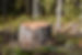 istockphoto-1207309872-612x612.jpeg