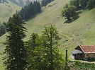 Kartierwochenende Hölzelstalalm 20260806_09.png
