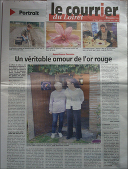 PRESSE 7