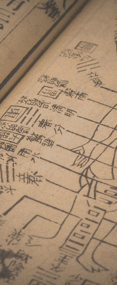 Traditional Chinese Medicine
