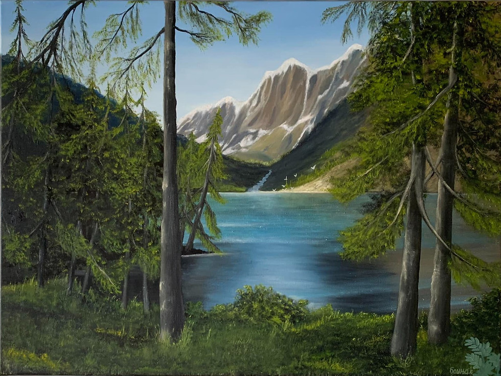 Stunning Alpine Lake View