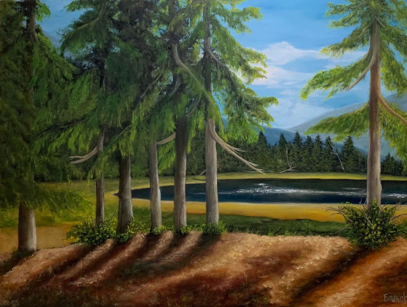 A Landscape View of Pine Trees