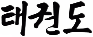 Taekwondo in Korean