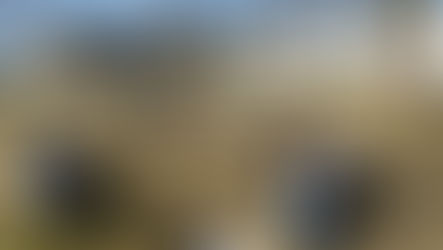 Conseil du mois - Le Conseil Municipal des Jeunes d'Oloron Sainte-Marie