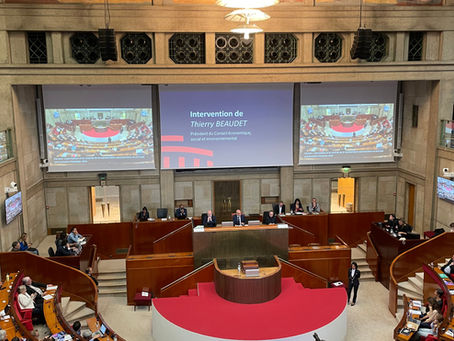 Le CESE a présenté son rapport sur l'EVARS