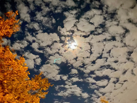 October Schedule, Fall Happenings & Things to Do Around Town