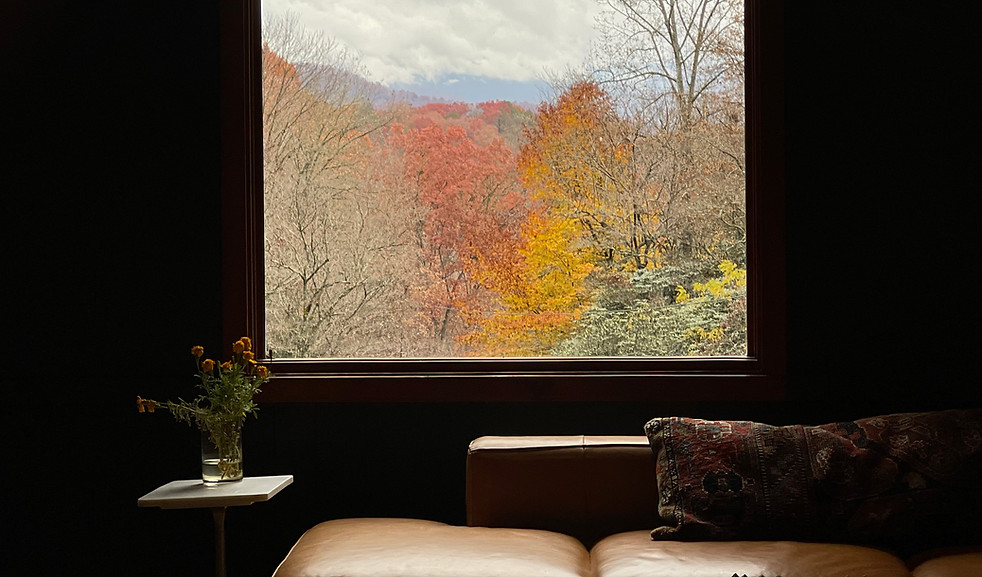 Window overlooking fall foliage