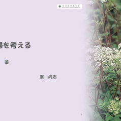 生薬　当帰を考える