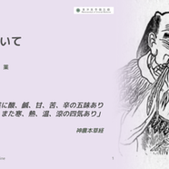 薬性について
