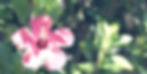 DSC01949_edited.jpg