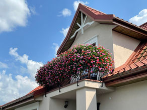 Jak sadzić rośliny w skrzynkach balkonowych?