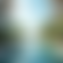 Investimento em imóveis digitais de luxo: como investir em imóveis de luxo online