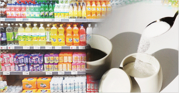 노바스코샤1.gif