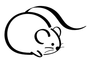 교양6.gif