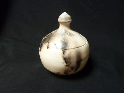 Horsehair vessel.jpeg